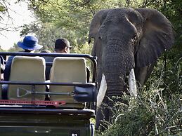 Karongwe - Becks Safari Lodge