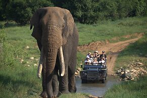 Karongwe - Becks Safari Lodge