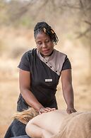 Karongwe - Becks Safari Lodge