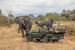 Karongwe - Becks Safari Lodge