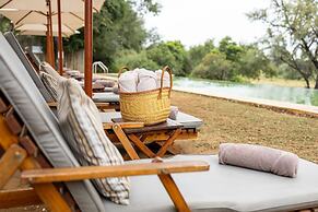 Karongwe - Becks Safari Lodge