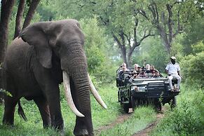 Karongwe - Becks Safari Lodge