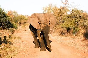 Karongwe - Becks Safari Lodge