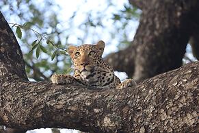 Karongwe - Becks Safari Lodge