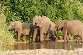 Karongwe - Becks Safari Lodge