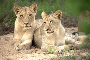 Karongwe - Becks Safari Lodge