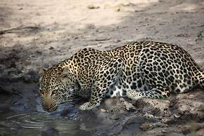 Karongwe - Becks Safari Lodge
