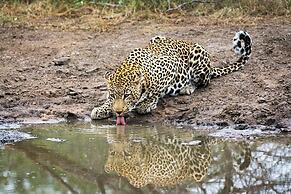 Karongwe - Becks Safari Lodge