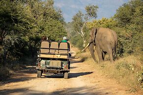 Karongwe - Becks Safari Lodge