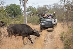 Karongwe - Becks Safari Lodge
