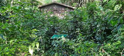 Mombacho Lodge