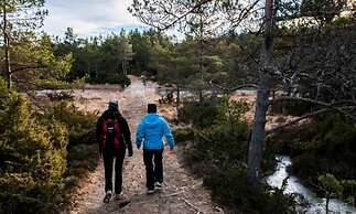 Dolmsundet Hotell Hitra