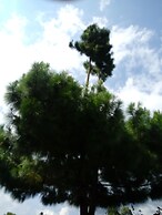 Hostería La Valdivia