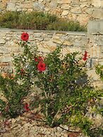 Kaminaki Amorgos Studios & Apartments