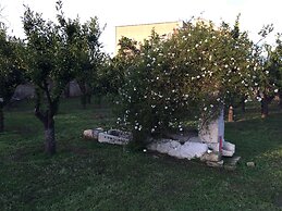 Agriturismo Arangea