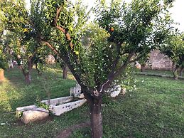Agriturismo Arangea