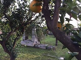 Agriturismo Arangea