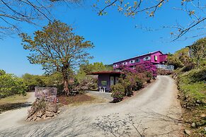 Seeking - Alishan Sunrise