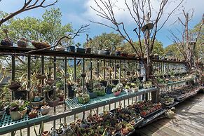 Seeking - Alishan Sunrise