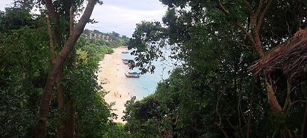 Viking Nature Resort