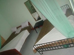 ALP Guest