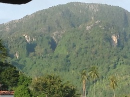Coco's Guesthouse