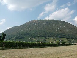 Agriturismo Al Vecchio Portico