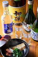 Hotel Sunresort Shonai