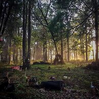 Balingup Heights Hilltop Forest Cottages