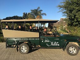 Addo Wildlife