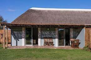 Addo Wildlife