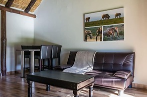 Addo Wildlife
