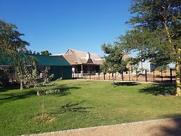 Addo Wildlife