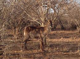 The Baobab Bush Lodge