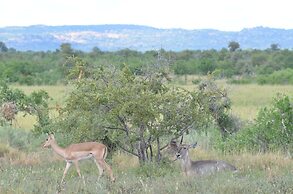 The Baobab Bush Lodge