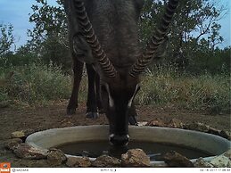 The Baobab Bush Lodge