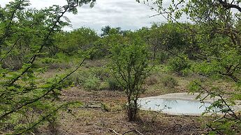The Baobab Bush Lodge