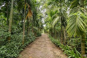 Silvanus Forest Retreat
