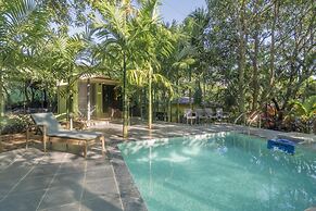 Silvanus Forest Retreat