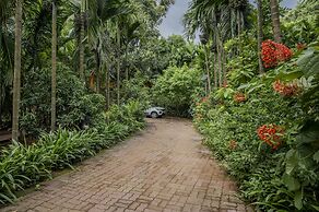 Silvanus Forest Retreat
