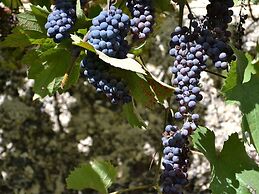 La Devinière
