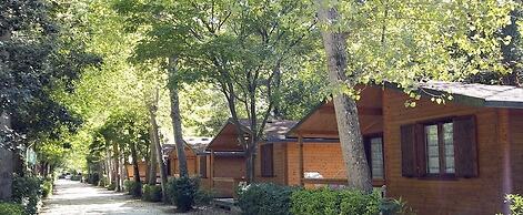 Bosco Verde Camping