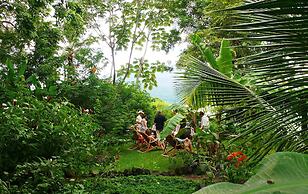 Zopango Orchids Island