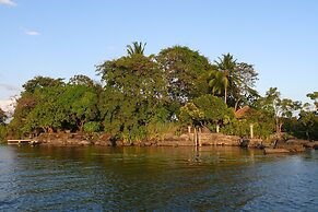 Zopango Orchids Island