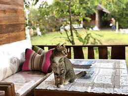 Phupha Inn Resort