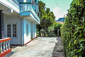 Blue Moon Hotel