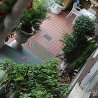 Hotel Nova Dhely
