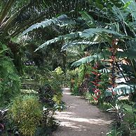 Khao Sok Palm Garden Resort
