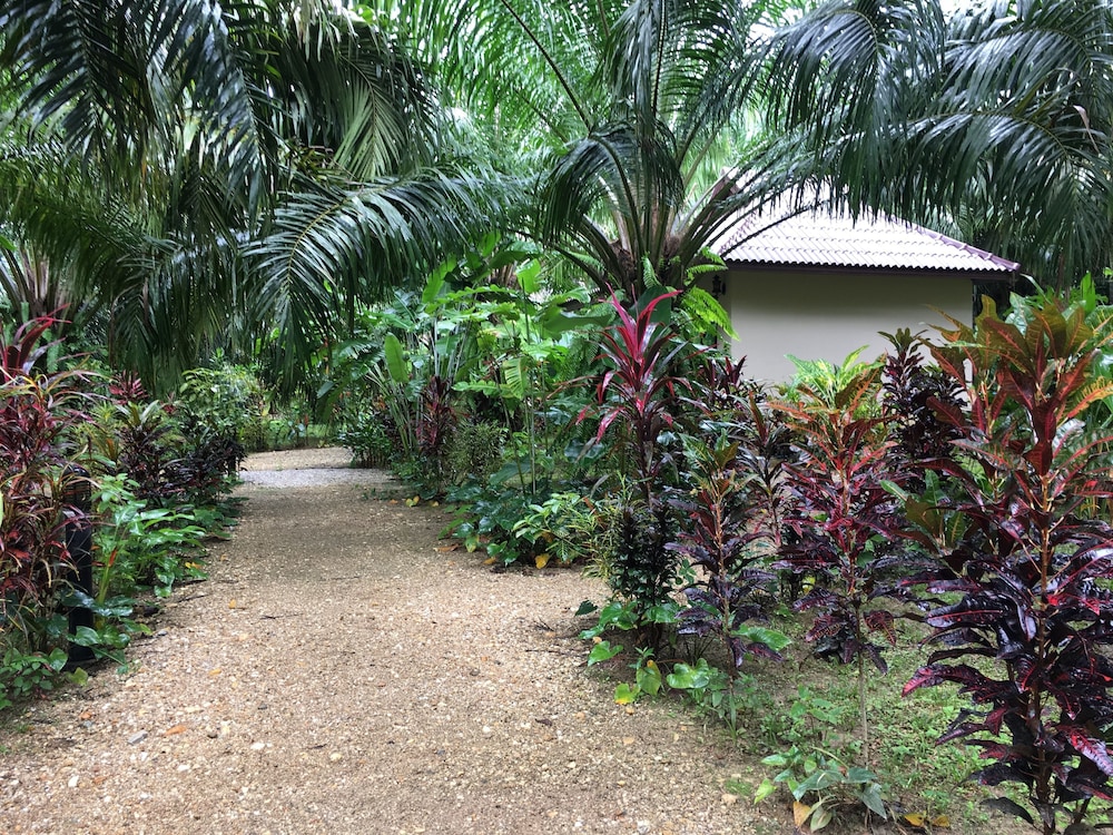 Khao Sok Palm Garden Resort