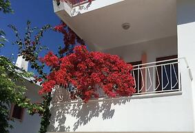Flower Villa Apart